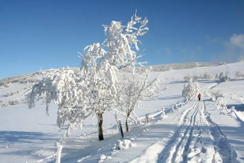 Winter landscape Stock Photos