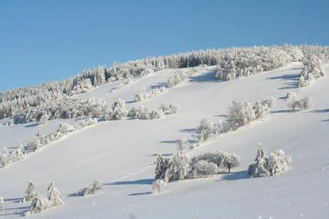 Winter landscape Stock Photos