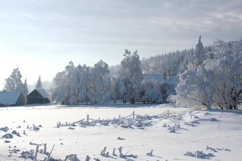 Winter landscape Stock Photos
