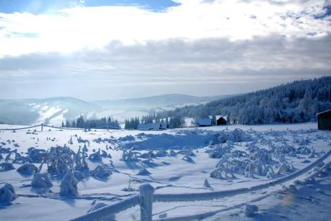 Winter landscape Stock Photos