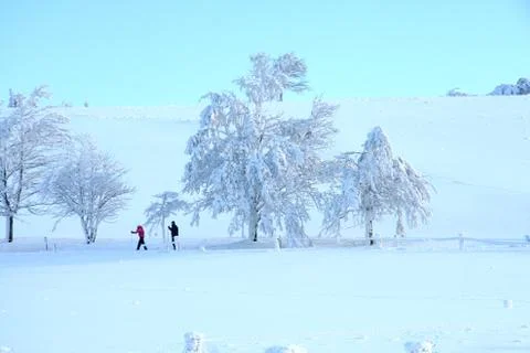 Winter landscape Stock Photos