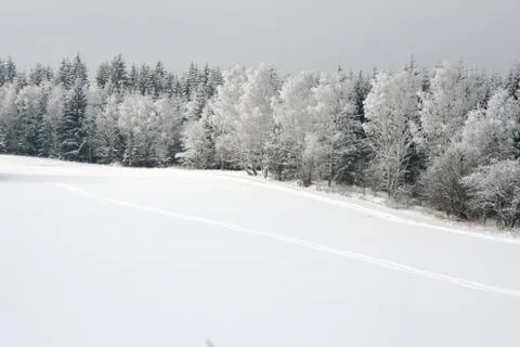 Winter landscape Stock Photos