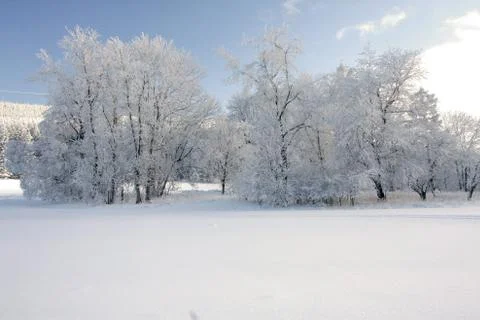 Winter landscape Foto stock