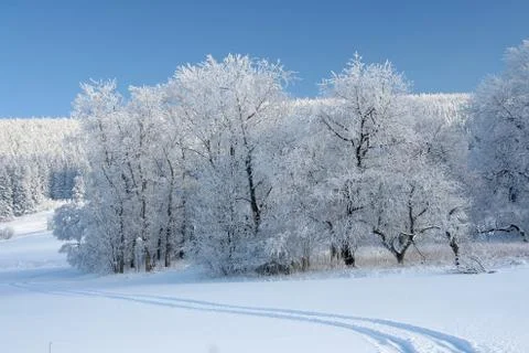 Winter landscape Stock Photos
