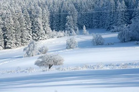 Winter landscape Stock Photos