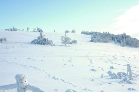 Winter landscape Stock Photos