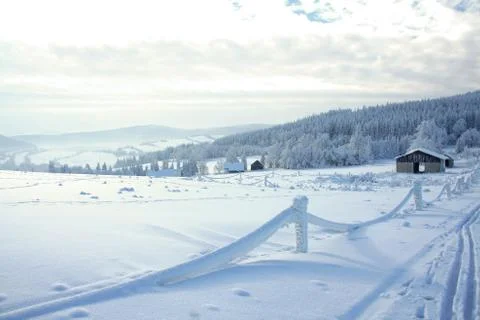 Winter landscape Stock Photos