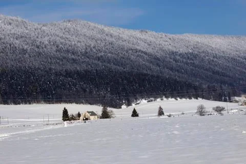 Winter Landscape Stock Photos