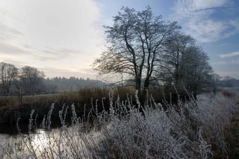 Winter landscape Stock Photos