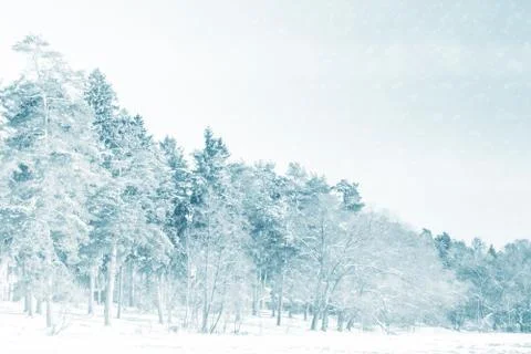 Winter landscape Stock Photos