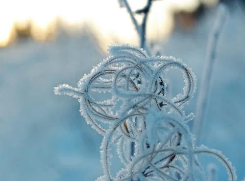 Winter landscape. Foto stock