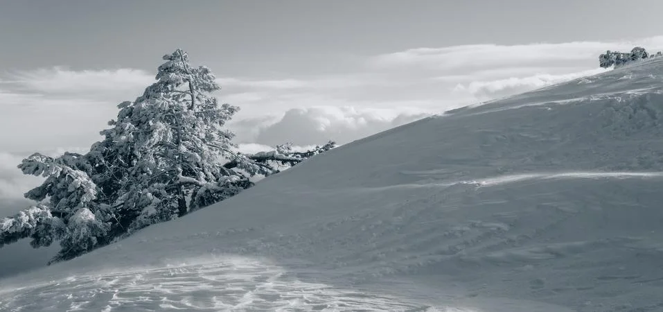 Winter landscape Stock Photos