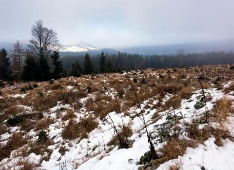 Winter landscape Stock Photos