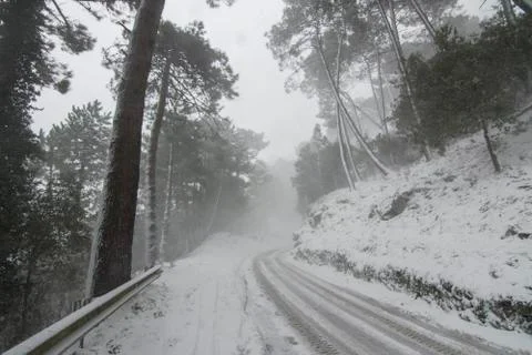 Winter landscape Stock Photos