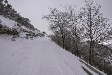 Winter landscape Stock Photos