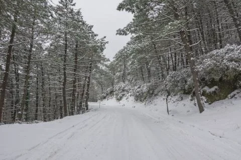 Winter landscape Stock Photos