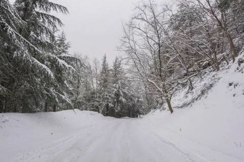 Winter landscape Stock Photos