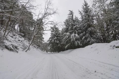 Winter landscape Stock Photos