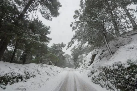 Winter landscape Stock Photos