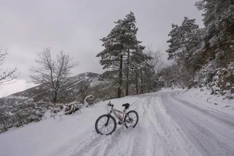 Winter landscape Stock Photos