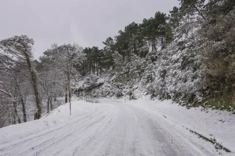 Winter landscape Stock Photos