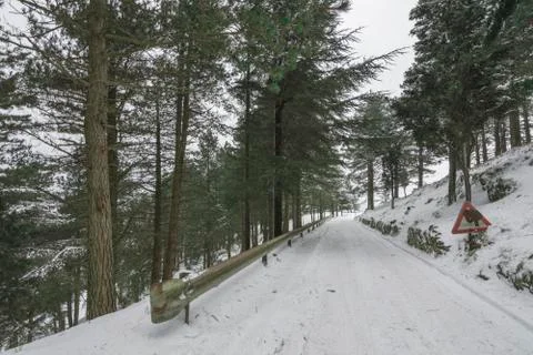 Winter landscape Stock Photos