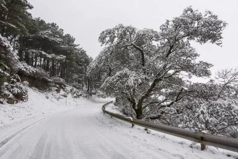 Winter landscape Stock Photos