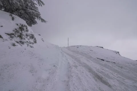 Winter landscape Stock Photos