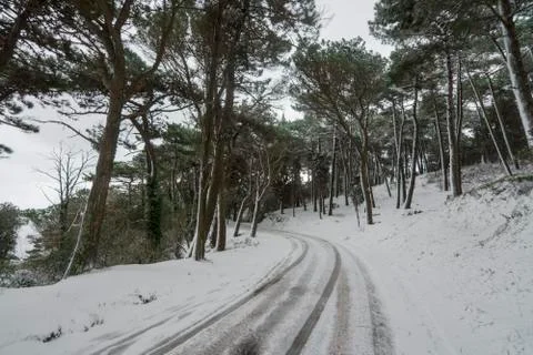Winter landscape Stock Photos