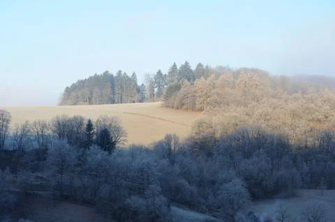 Winter Landscape Stock Photos