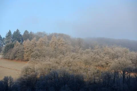 Winter Landscape Stock Photos
