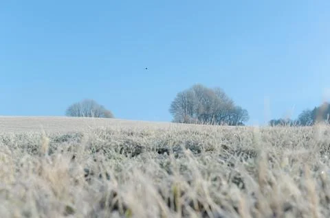 Winter Landscape Foto stock