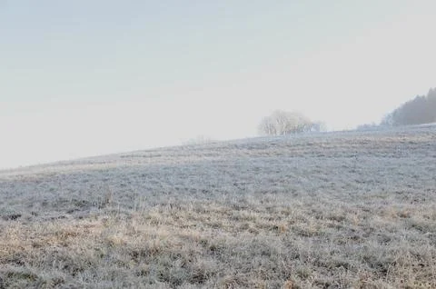 Winter Landscape Foto stock