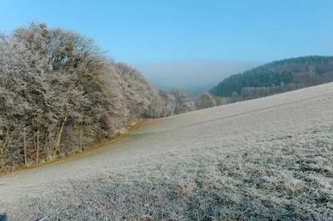 Winter Landscape Stock Photos
