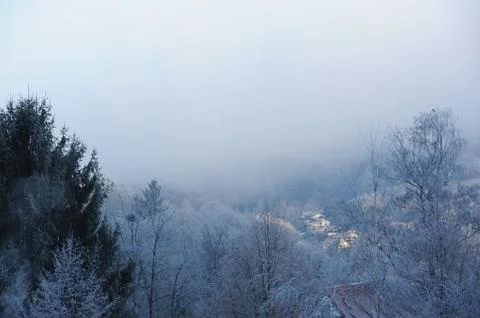 Winter Landscape Stock Photos