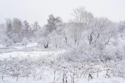 Winter landscape Stock Photos