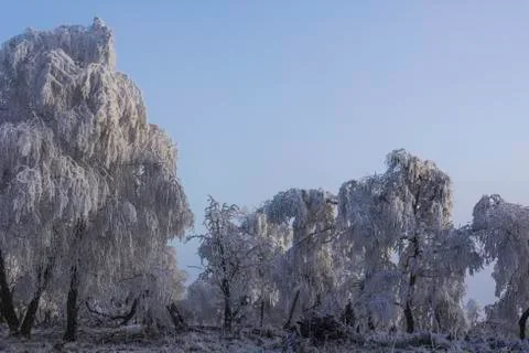 Winter landscape Stock Photos