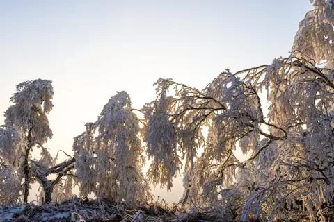 Winter landscape Stock Photos