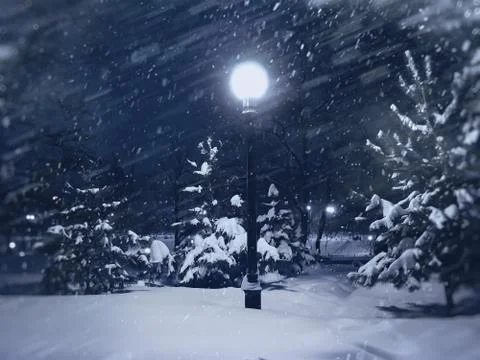 Winter landscape. Stock Photos