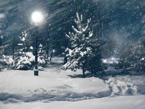 Winter landscape. Fotos Stock