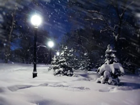 Winter landscape. Stock-Fotos