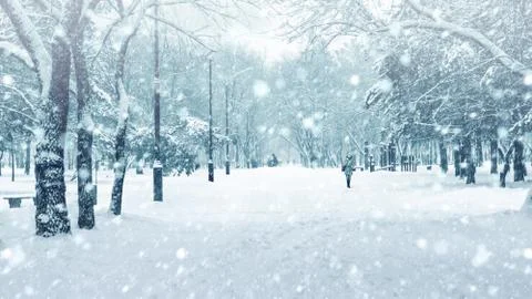 Winter landscape. 写真素材