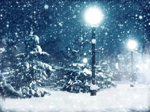 Winter landscape. Fotos Stock