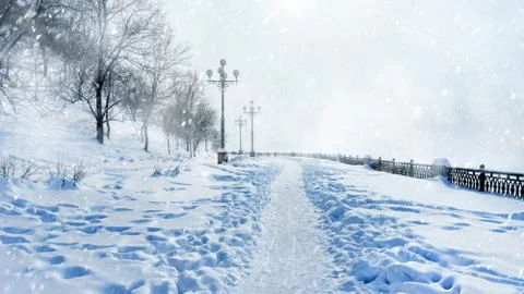 Winter landscape. Stock Photos