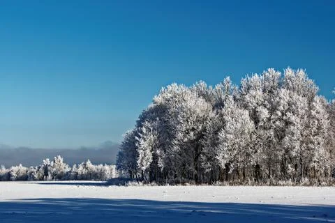 Winter landscape Foto stock