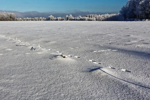 Winter landscape Stock Photos