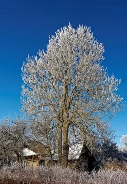 Winter landscape Stock Photos