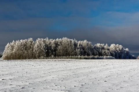 Winter landscape Stock Photos