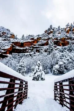 Winter Landscape Stock Photos