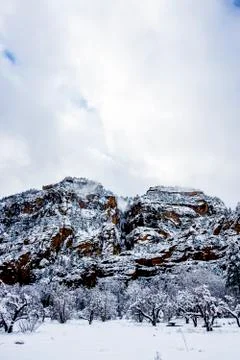 Winter Landscape Stock Photos